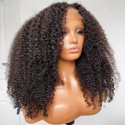 Curly Lace Closure Wig Pre Plucked Raw Virgin Human Hair Glueless