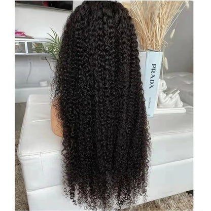 Afro Kinky Curly HD Lace Front Wig High Density Raw Indian Full Cuticle Aligned Human Hair