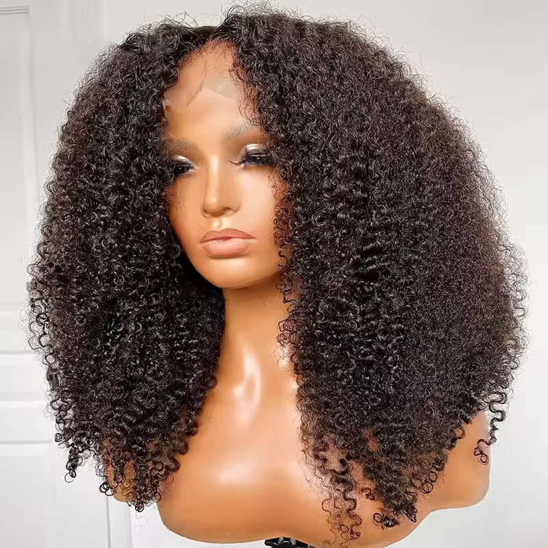 Curly Lace Closure Wig Pre Plucked Raw Virgin Human Hair Glueless