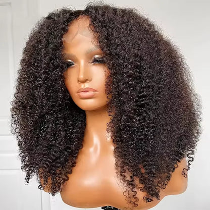 Curly Lace Closure Wig Pre Plucked Raw Virgin Human Hair Glueless