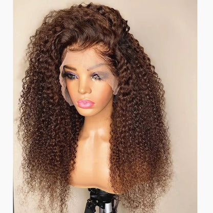 Afro Kinky Curly HD Lace Front Wig High Density Raw Indian Full Cuticle Aligned Human Hair